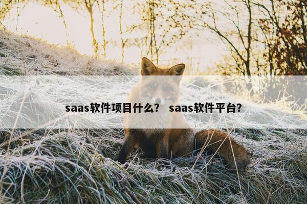 saas软件项目什么？ saas软件平台？