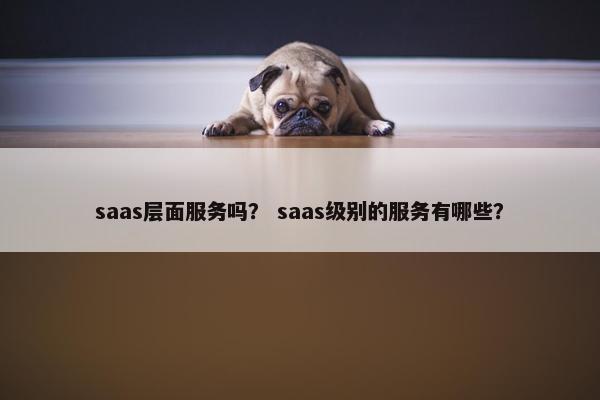 saas层面服务吗？ saas级别的服务有哪些？