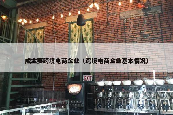 成主要跨境电商企业（跨境电商企业基本情况）