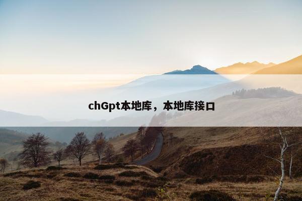 chGpt本地库，本地库接口