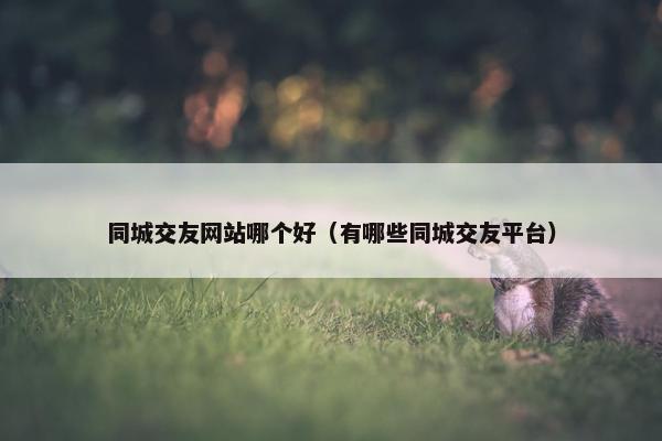 同城交友网站哪个好（有哪些同城交友平台）