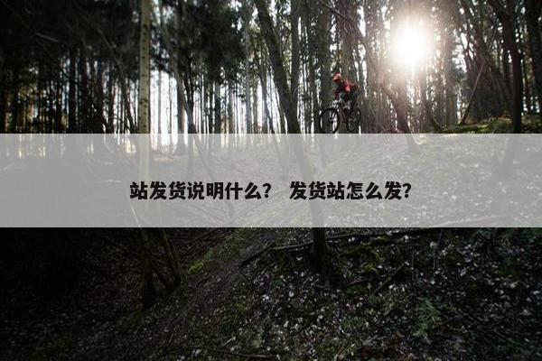 站发货说明什么？ 发货站怎么发？
