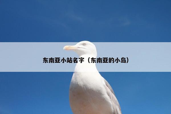 东南亚小站名字（东南亚的小岛）