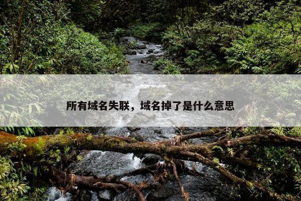 所有域名失联，域名掉了是什么意思