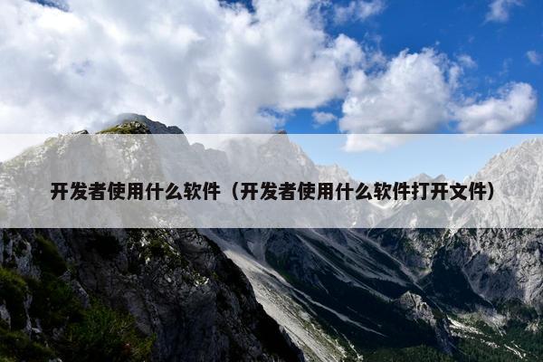 开发者使用什么软件（开发者使用什么软件打开文件）