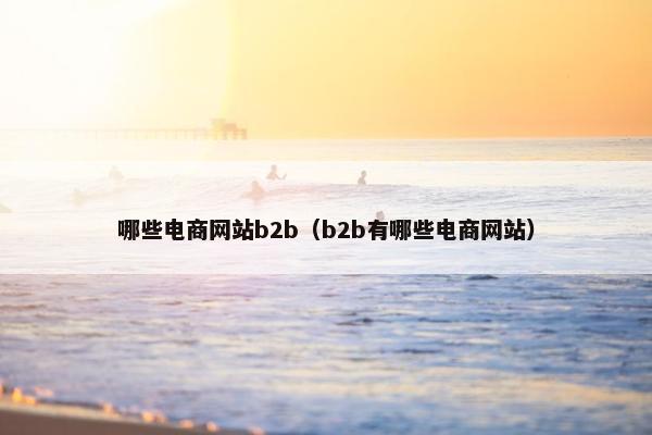 哪些电商网站b2b（b2b有哪些电商网站）