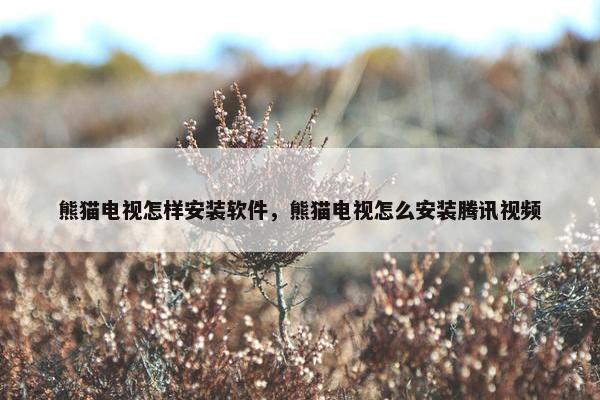 熊猫电视怎样安装软件，熊猫电视怎么安装腾讯视频