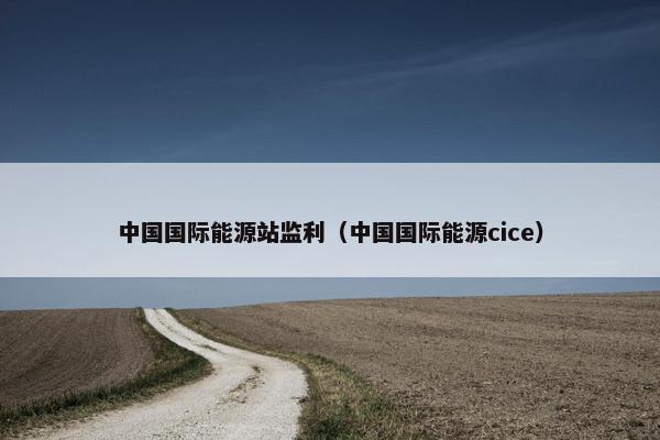 中国国际能源站监利（中国国际能源cice）
