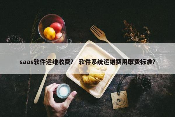 saas软件运维收费？ 软件系统运维费用取费标准？