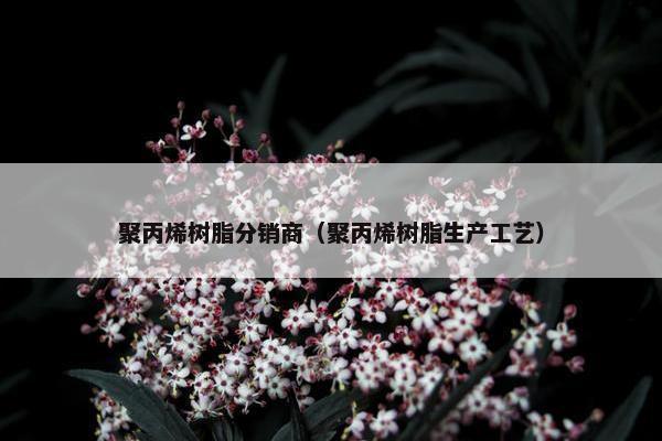 聚丙烯树脂分销商（聚丙烯树脂生产工艺）
