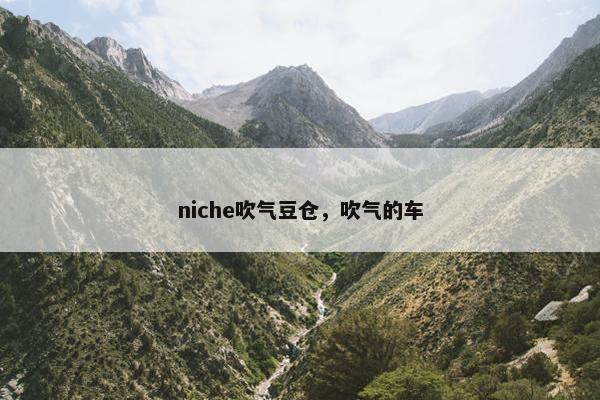 niche吹气豆仓，吹气的车