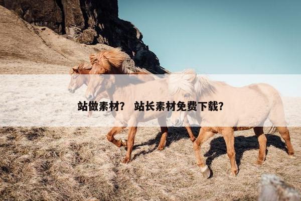站做素材？ 站长素材免费下载？