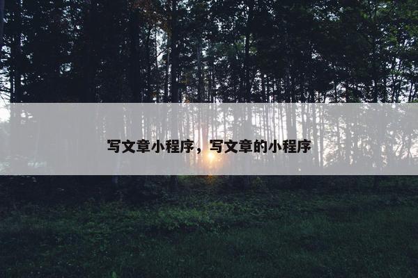 写文章小程序，写文章的小程序