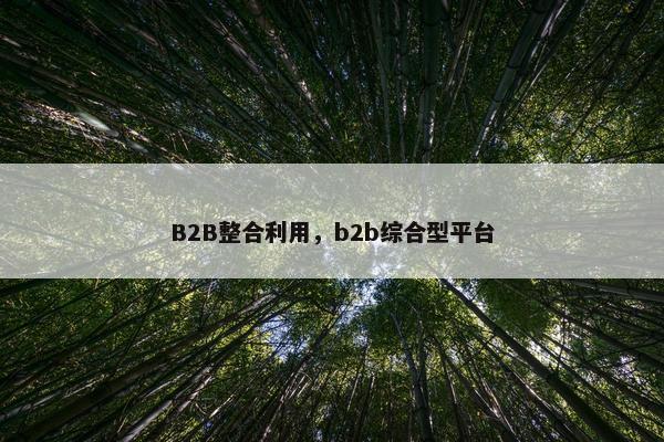 B2B整合利用，b2b综合型平台