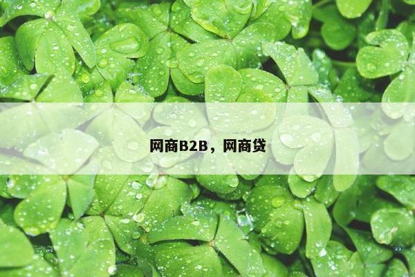网商B2B，网商贷