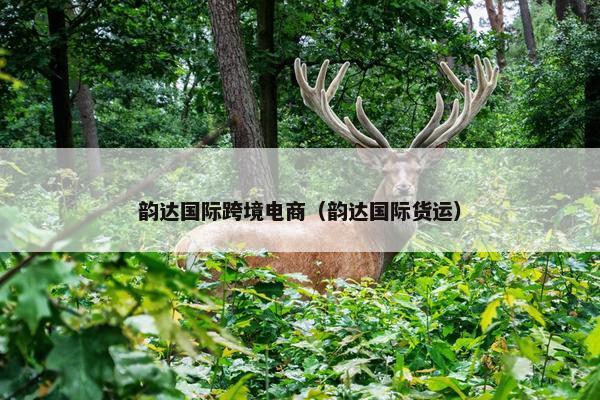 韵达国际跨境电商（韵达国际货运）