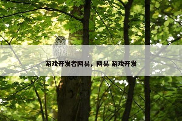 游戏开发者网易，网易 游戏开发