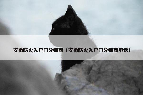 安徽防火入户门分销商（安徽防火入户门分销商电话）