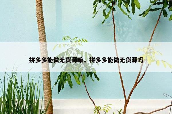 拼多多能做无货源嘛，拼多多能做无货源吗