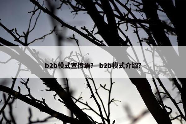 b2b模式宣传语？ b2b模式介绍？