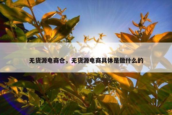 无货源电商仓，无货源电商具体是做什么的