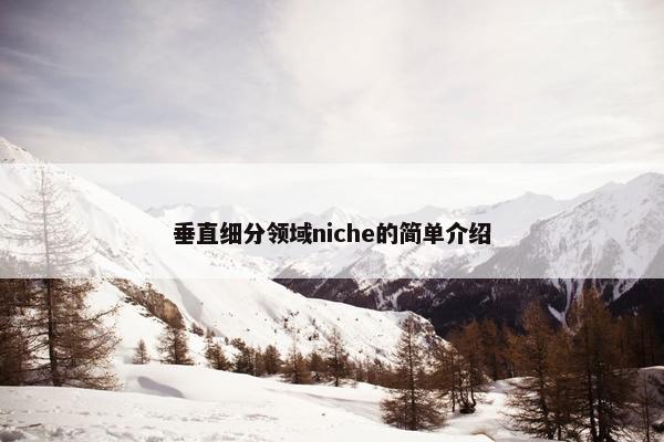 垂直细分领域niche的简单介绍