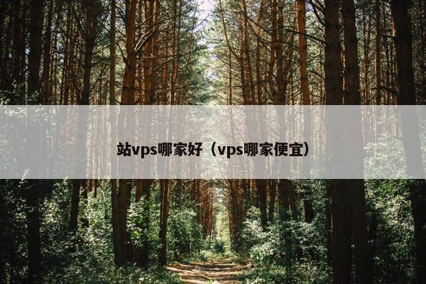 站vps哪家好（vps哪家便宜）