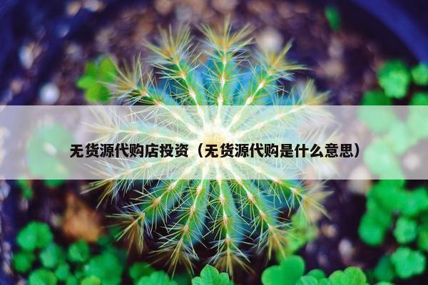 无货源代购店投资（无货源代购是什么意思）