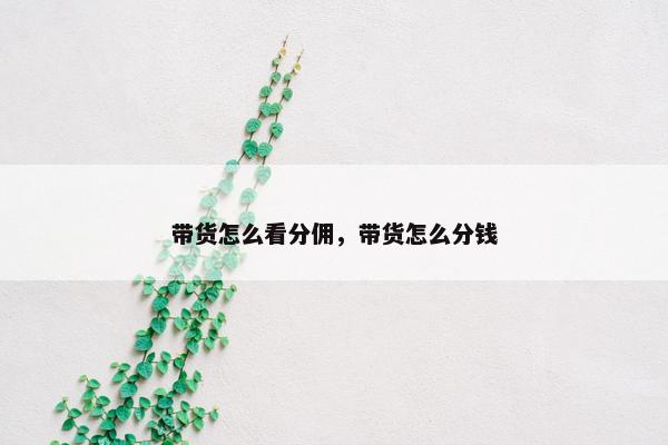 带货怎么看分佣，带货怎么分钱