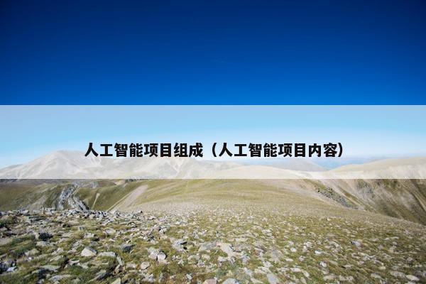 人工智能项目组成（人工智能项目内容）