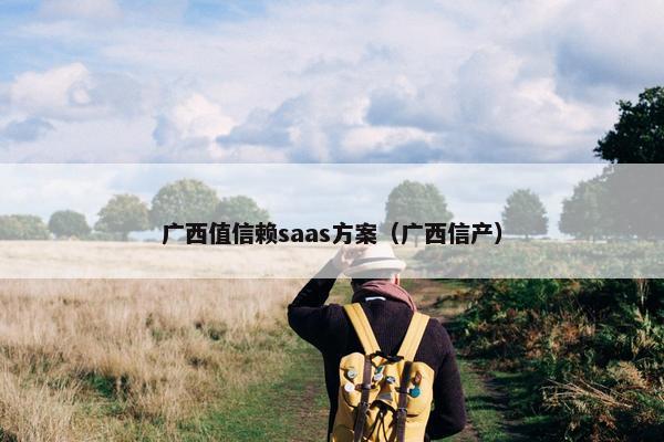 广西值信赖saas方案（广西信产）