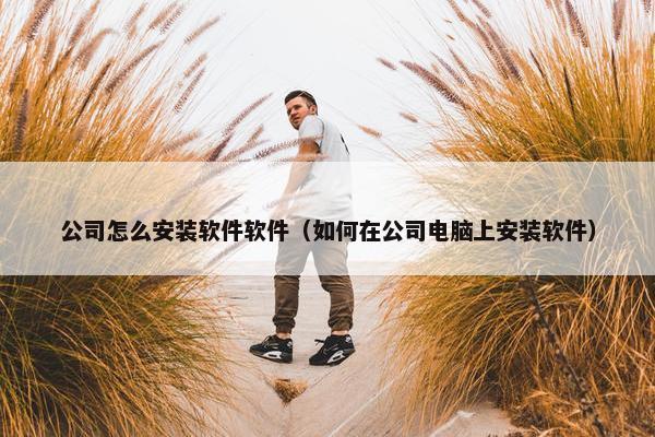 公司怎么安装软件软件（如何在公司电脑上安装软件）