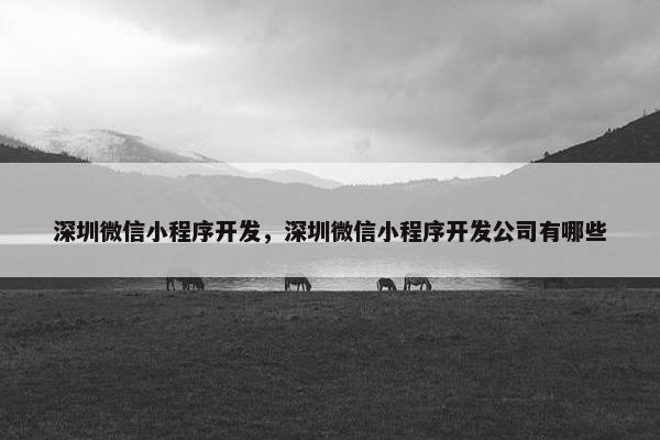 深圳微信小程序开发，深圳微信小程序开发公司有哪些