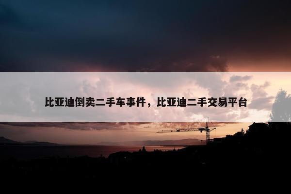 比亚迪倒卖二手车事件，比亚迪二手交易平台