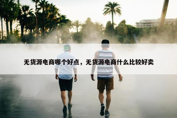 无货源电商哪个好点，无货源电商什么比较好卖