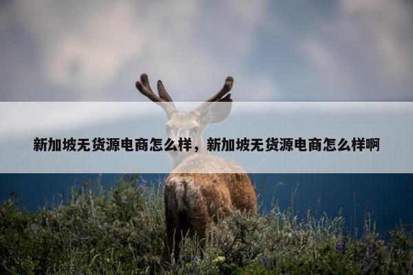 新加坡无货源电商怎么样，新加坡无货源电商怎么样啊