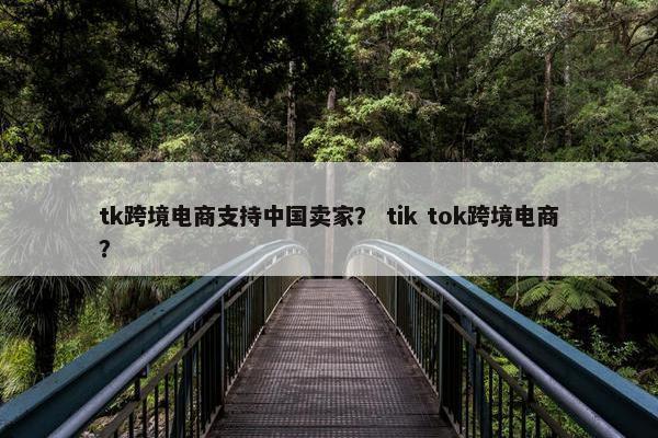 tk跨境电商支持中国卖家？ tik tok跨境电商？