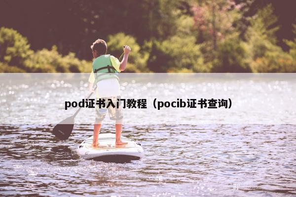 pod证书入门教程（pocib证书查询）