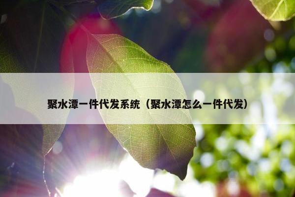 聚水潭一件代发系统（聚水潭怎么一件代发）