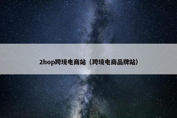 2hop跨境电商站（跨境电商品牌站）