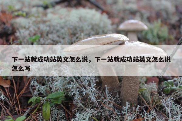 下一站就成功站英文怎么说，下一站就成功站英文怎么说怎么写
