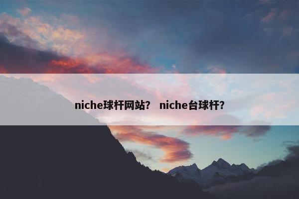 niche球杆网站？ niche台球杆？