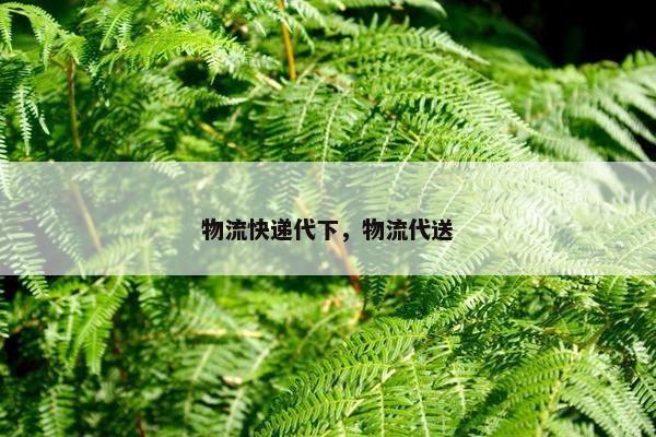 物流快递代下，物流代送