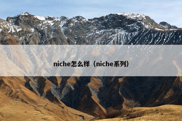 niche怎么样（niche系列）