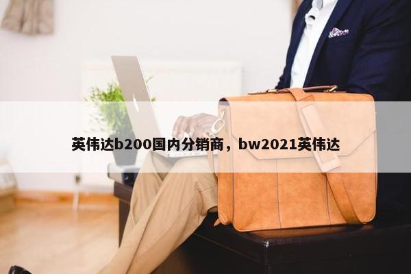 英伟达b200国内分销商，bw2021英伟达