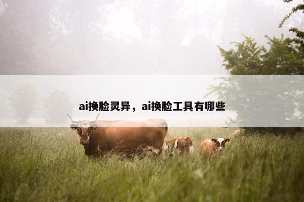 ai换脸灵异，ai换脸工具有哪些