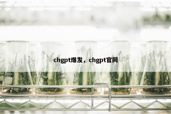 chgpt爆发，chgpt官网