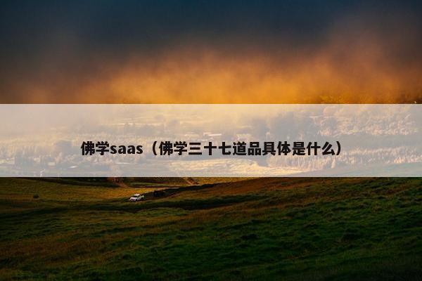 佛学saas（佛学三十七道品具体是什么）