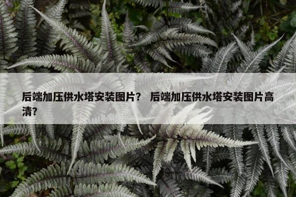 后端加压供水塔安装图片？ 后端加压供水塔安装图片高清？