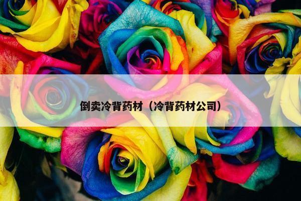 倒卖冷背药材（冷背药材公司）